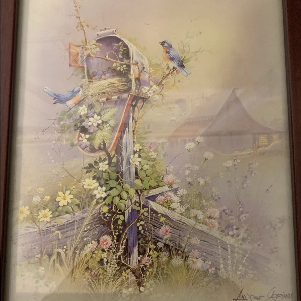 Framed Andres Orpinas bird’s nest in a mailbox Artwork with Birds‎ and Flowers